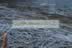 Frozen Reeds-Loch of Strathbeg.jpg (139kb)